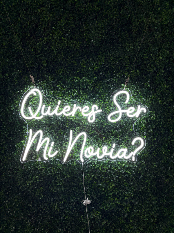 Quieres Ser Mi Novia? Custom Neon Sign