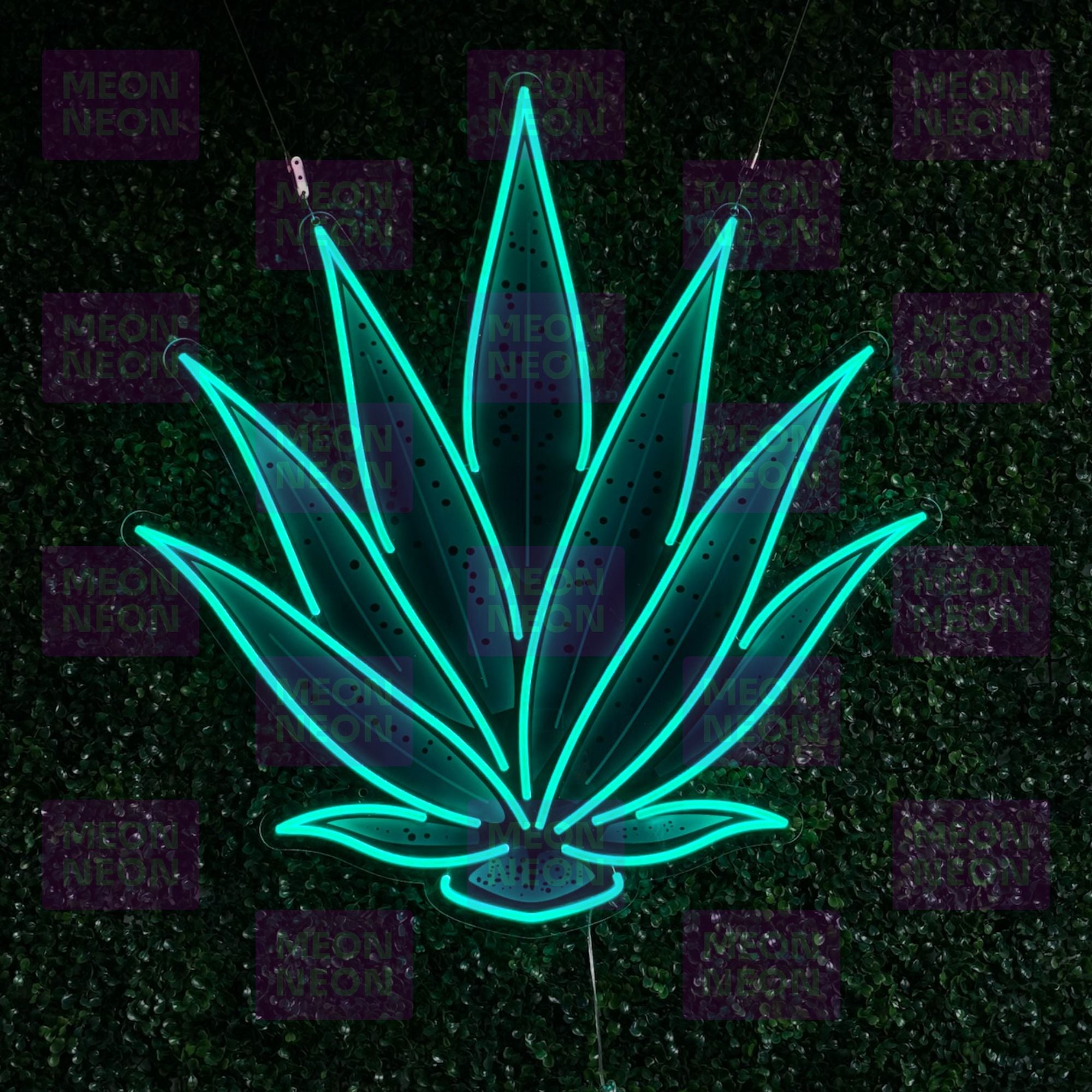 Agave Plant LED Neon Sign - MEON NEON