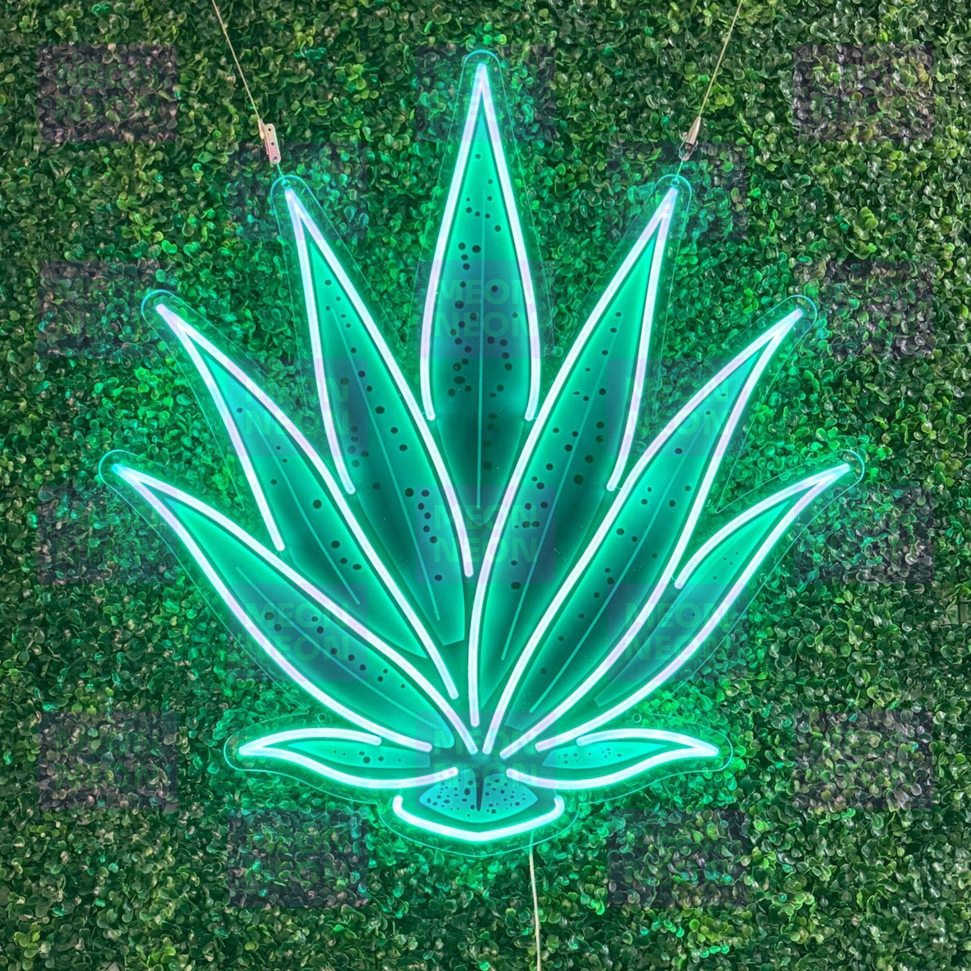 Agave Plant LED Neon Sign - MEON NEON