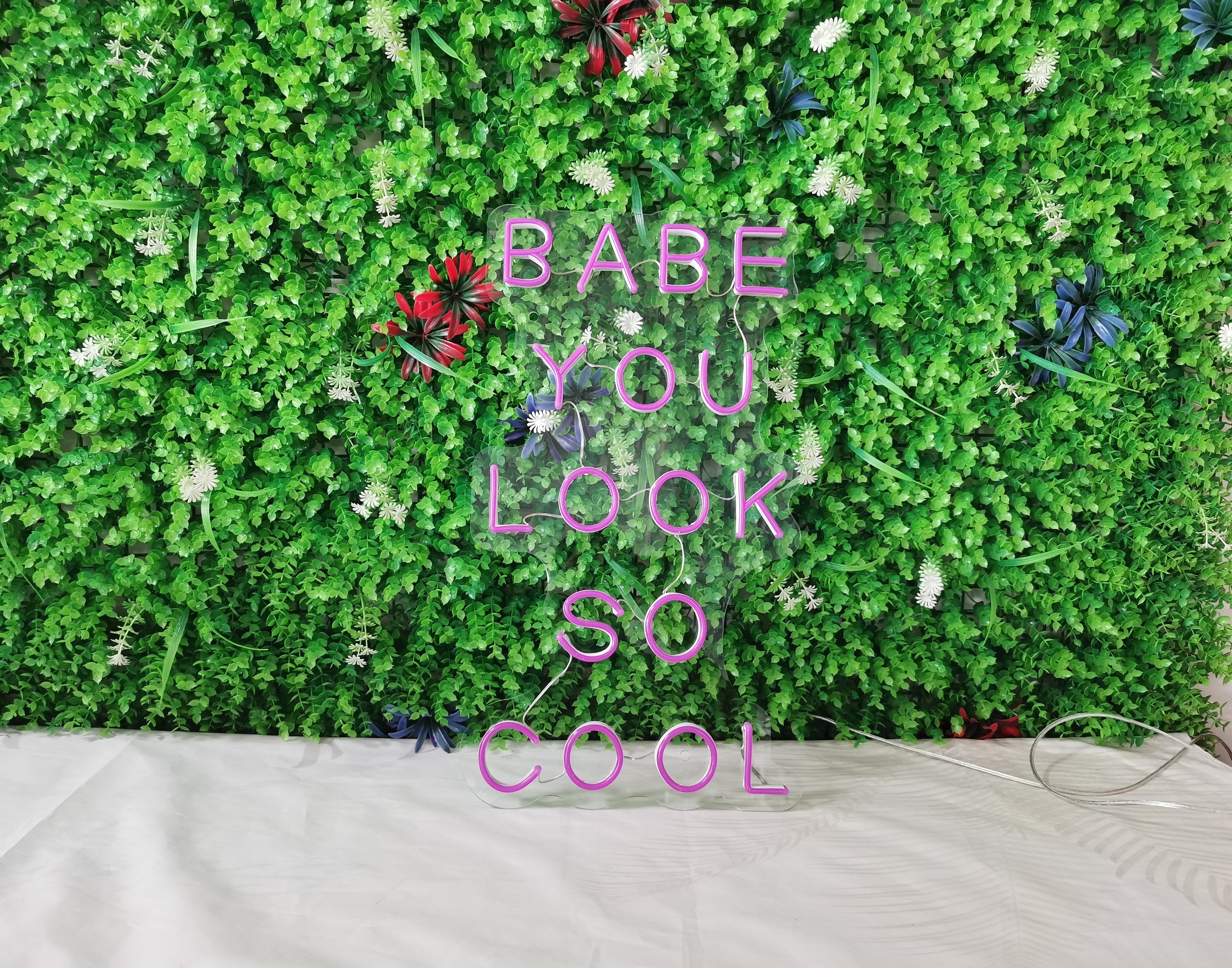 Babe You Look So Cool LED Neon Sign in Red