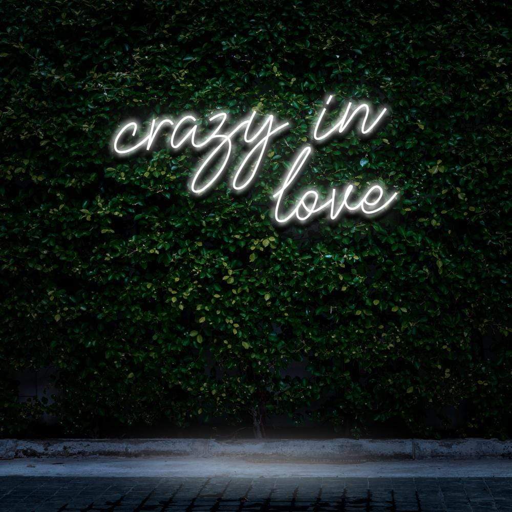 "Crazy In Love" Neon Sign image 0
