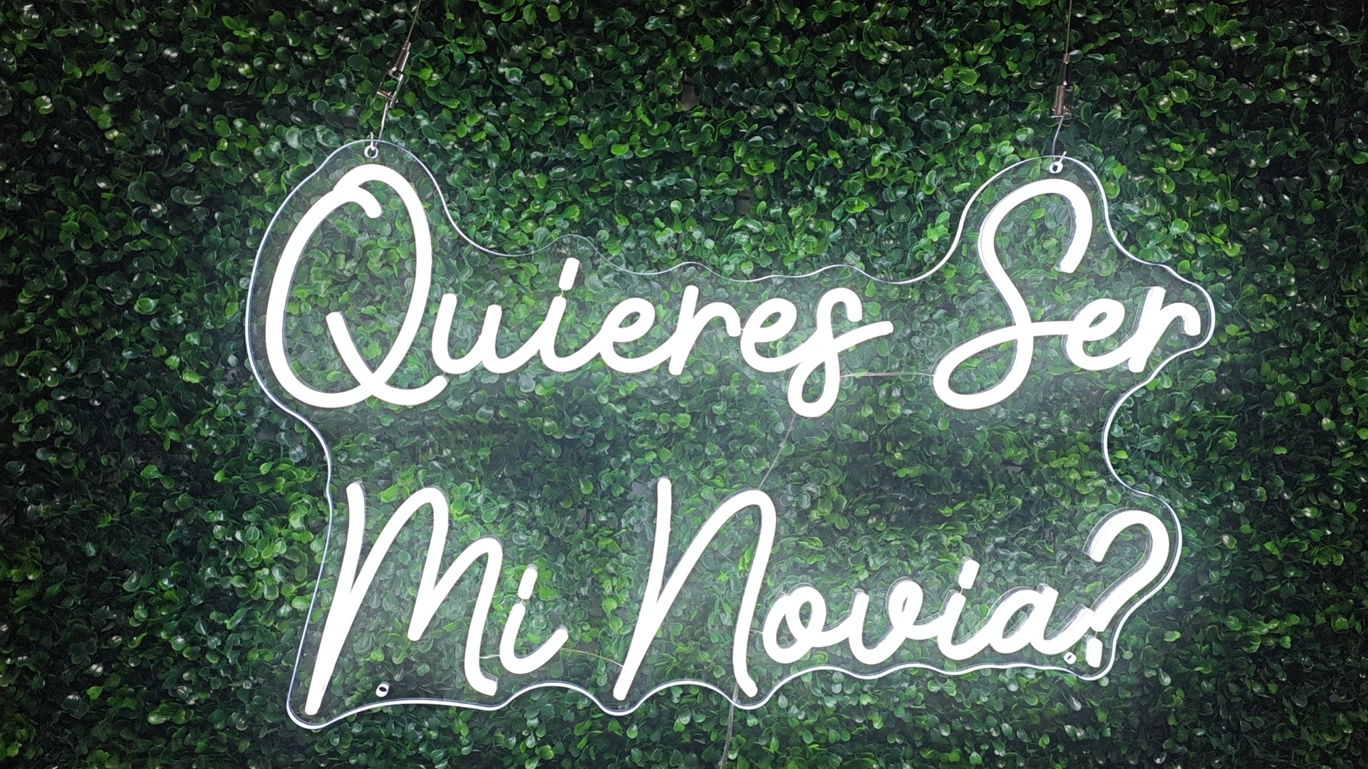 Quieres Ser Mi Novia LED Neon Sign - MEON NEON