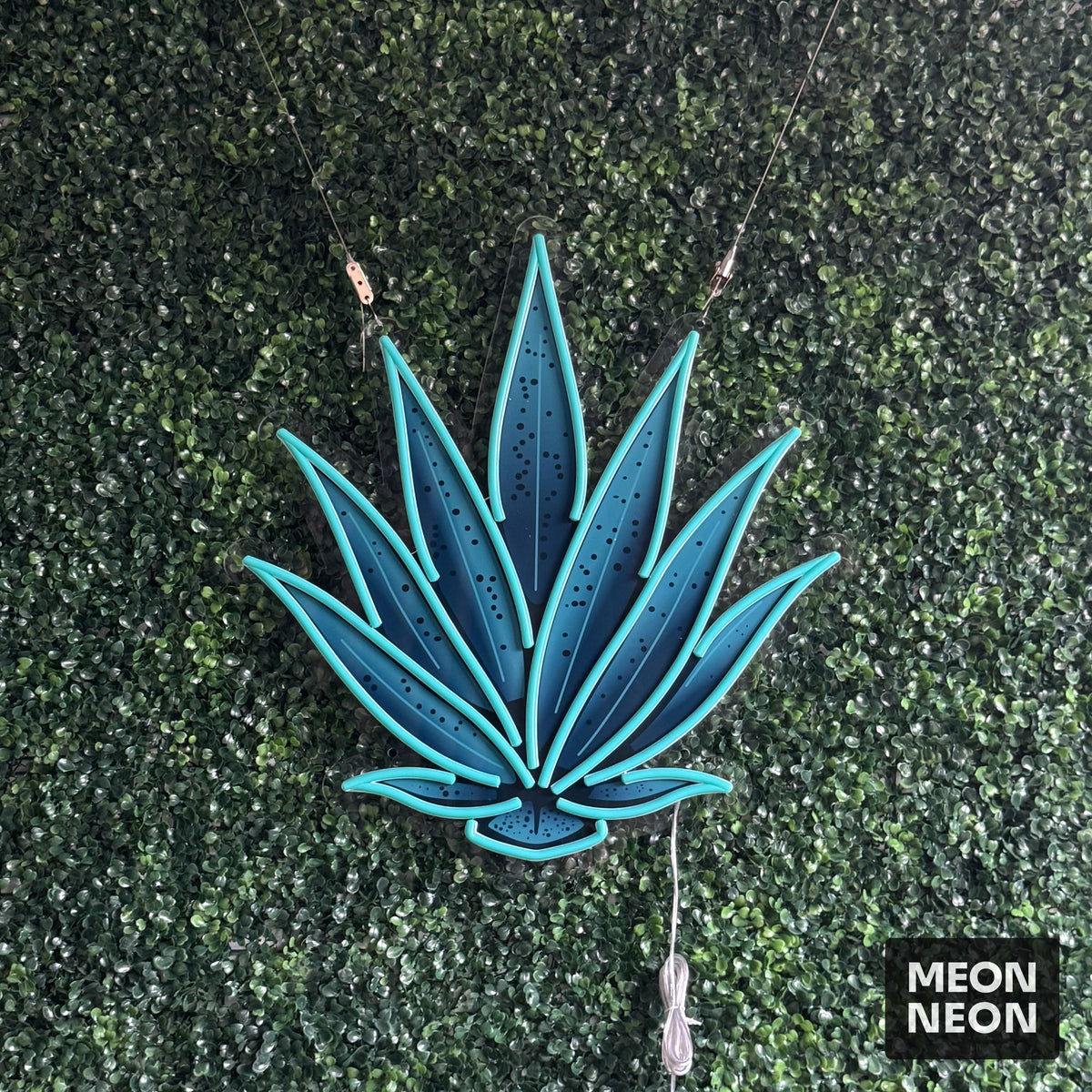 Agave Plant LED Neon Sign, real photo of a finished Meon Neon sign, lit