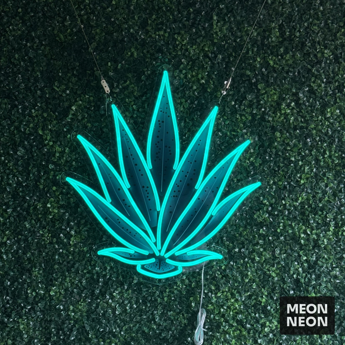 Agave Plant LED Neon Sign, real photo of a finished Meon Neon sign, lit