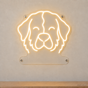 MEON NEON-watermarked concept mockup of a Warm White Bernese Mountain Dog head LED neon sign with a blank acrylic area for a UV-printed breed caption or dog name.
