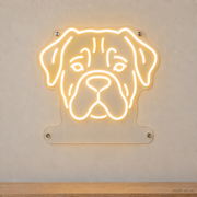 MEON NEON-watermarked concept mockup of a Warm White Cane Corso head LED neon sign with a blank acrylic area for a UV-printed breed caption or dog name.