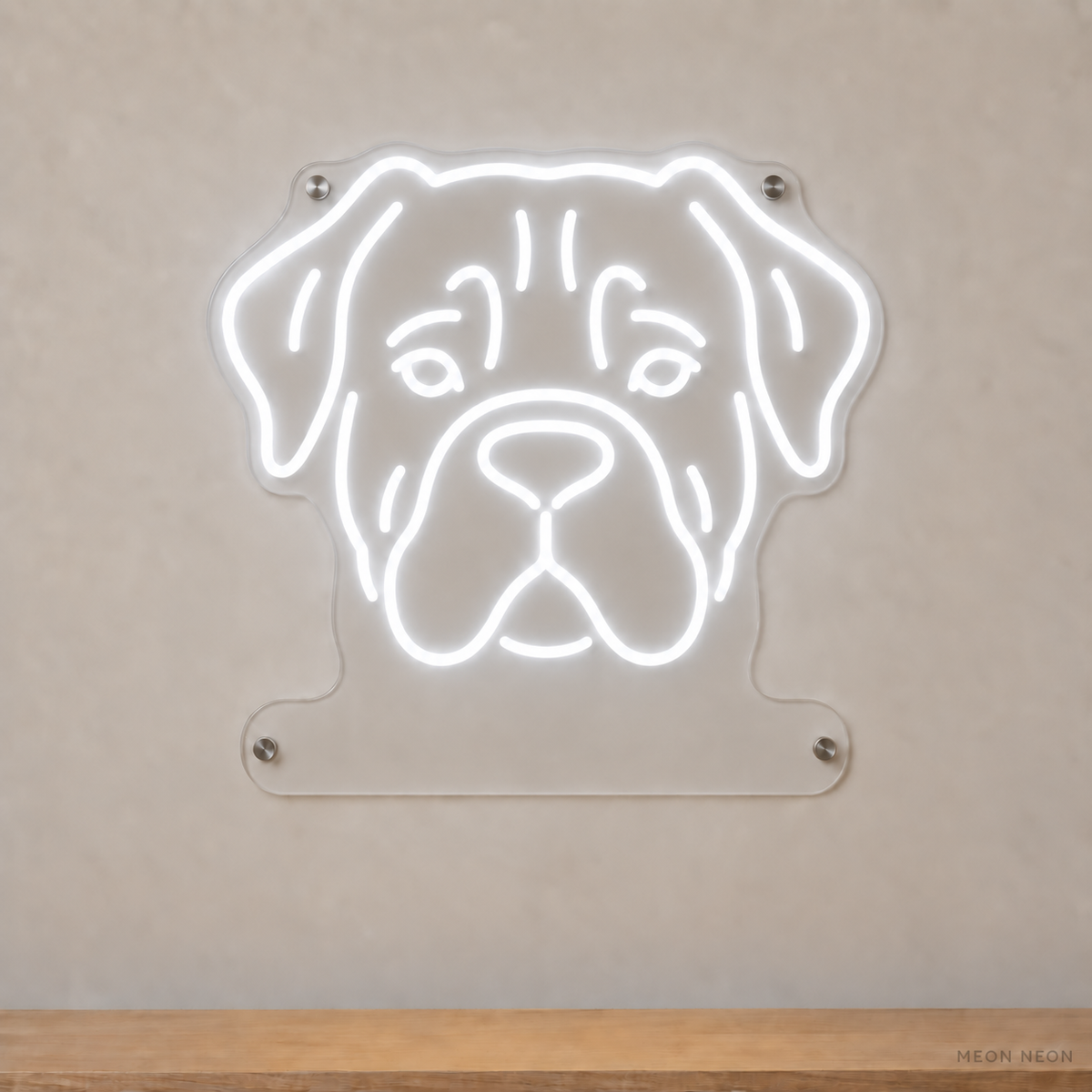 MEON NEON-watermarked concept mockup of a White Cane Corso head LED neon sign with a blank acrylic area for a UV-printed breed caption or dog name.