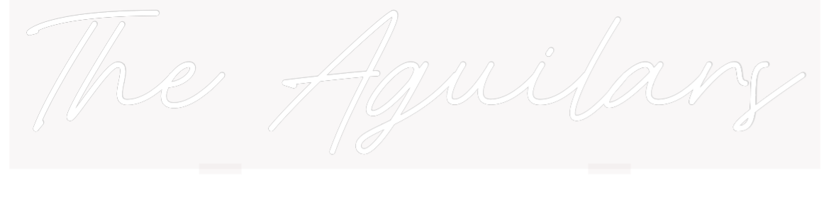 Custom Neon: The Aguilars