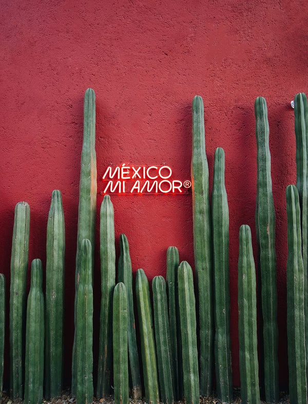 Mexico Mi amor