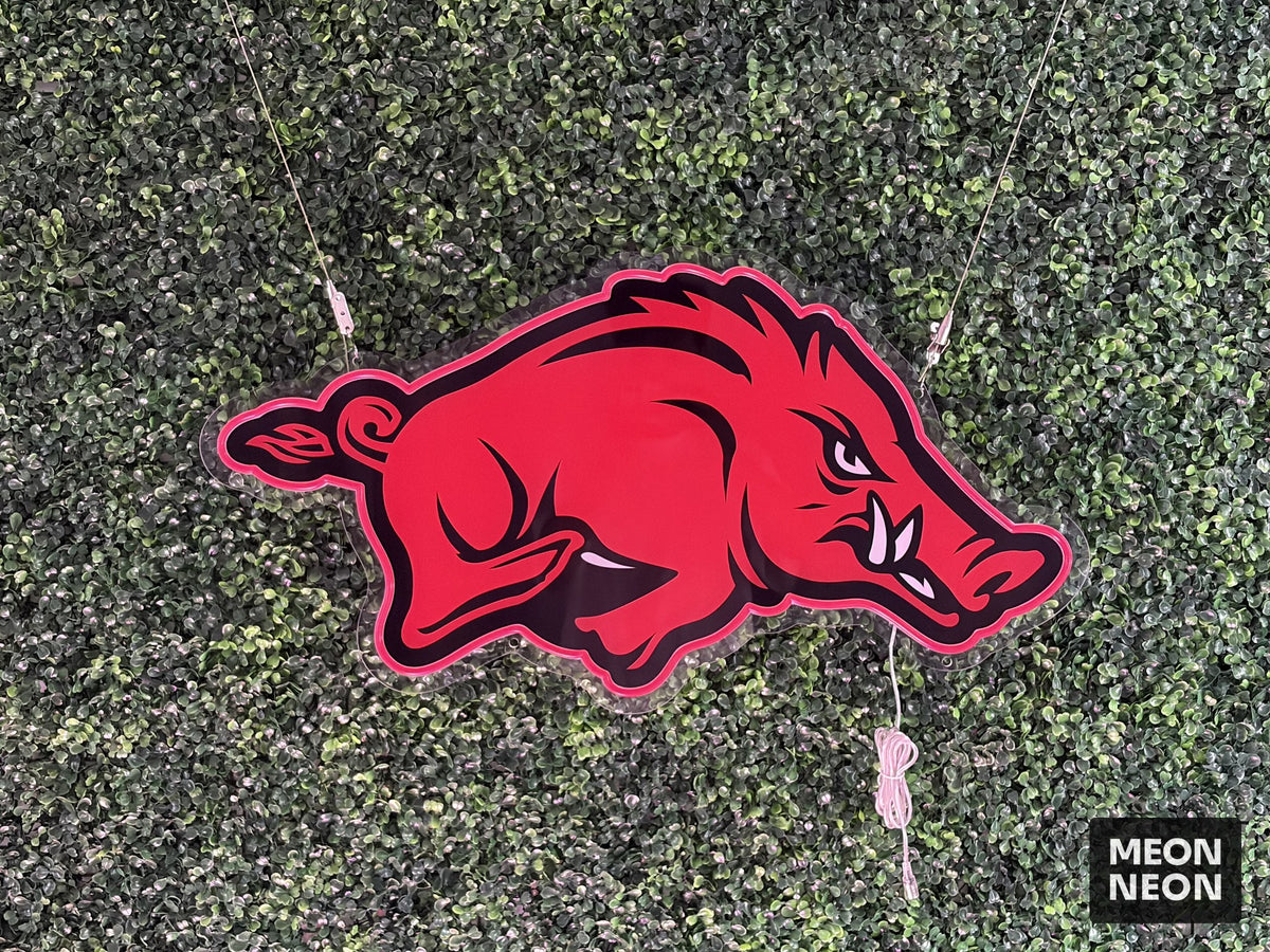 Razorback Pride LED Neon Sign, real photo of a finished Meon Neon sign, lit